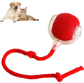 Smart Rolling Pet Ball - Nara's Shop