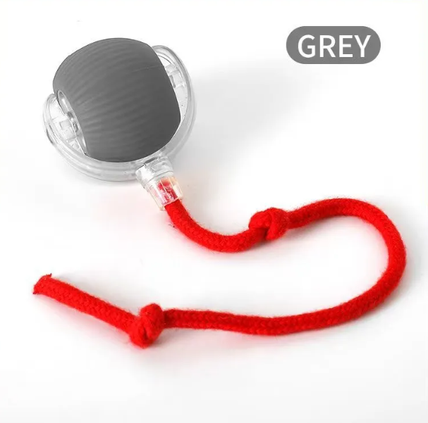 PurrPlay Self-Rolling Cat Toy Ball - Nara's Shop