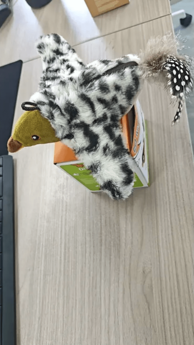 Plush Bird Pet Toy - Nara's Shop